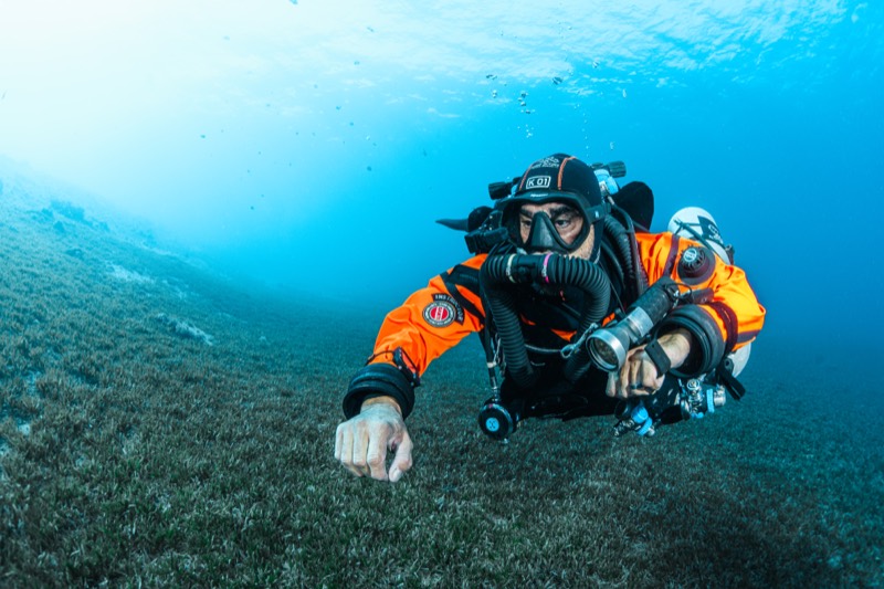 Sameh Sokar diving — photo 13