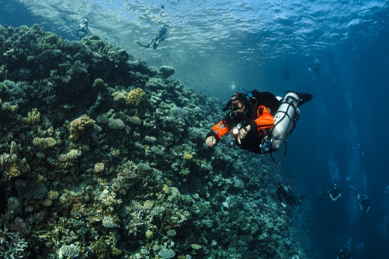 Sameh Sokar diving — photo 16